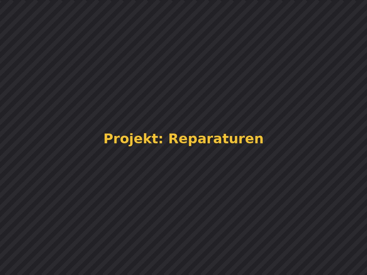Reparaturen